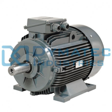Moteur électrique triphasé 55 kw - 230/400V - 1500Tr/min - B3 - Gamak