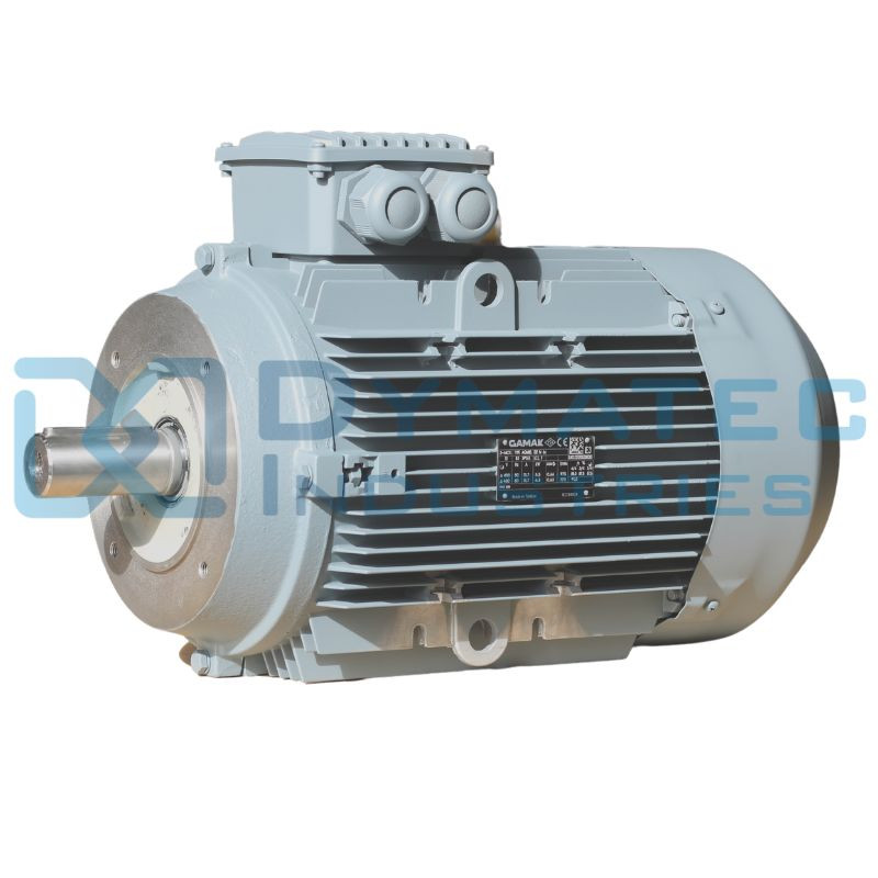 Moteur electrique 5.5 ch/4 kW triphasé 400/690V