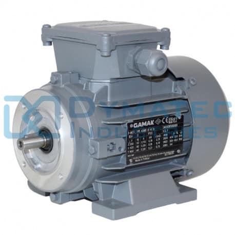 Moteur électrique 0.18kw - 3000 Tr/min - 230/400V - Gamak