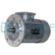 Moteur électrique 0.25kw - 1000 Tr/min - 230/400V - Gamak - IE1 b5