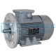 Moteur électrique 0.25kw - 1000 Tr/min - 230/400V - Gamak - IE1 b35