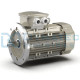 Dymatec Industries - Moteur Électrique Triphasé 0,.55 Kw - 2 pôles - 1500Tr/min - 230/400V - IE4