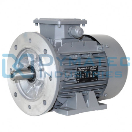 Moteur électrique 0.55 kw - 750 Tr/min - 230/400V - IE2
