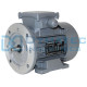 Moteur électrique 0.18 kw - 3000 Tr/min - 230/400V - IE3