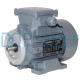 Moteur électrique 0.18 kw - 3000 Tr/min - 230/400V - IE3